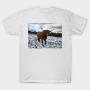 Scottish Highland Cattle Cow 2154 T-Shirt